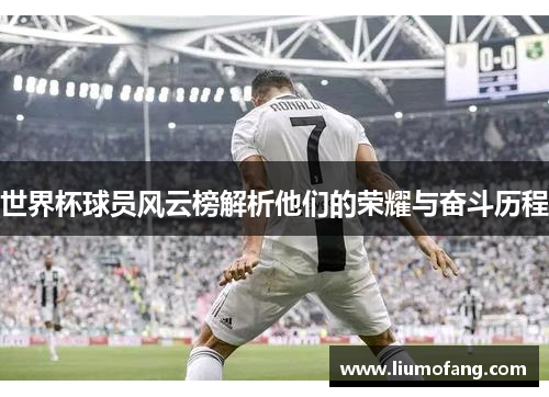 世界杯球员风云榜解析他们的荣耀与奋斗历程