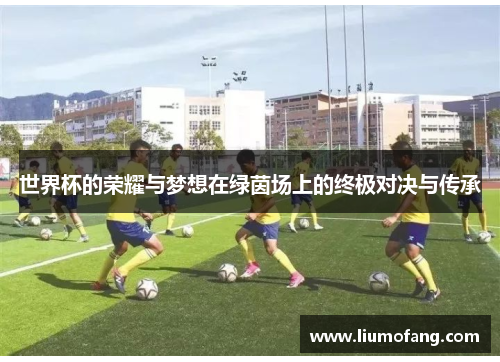 世界杯的荣耀与梦想在绿茵场上的终极对决与传承