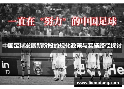 中国足球发展新阶段的规化政策与实施路径探讨