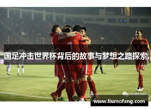 国足冲击世界杯背后的故事与梦想之路探索