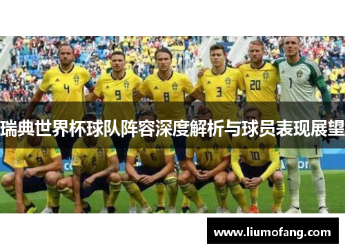 瑞典世界杯球队阵容深度解析与球员表现展望