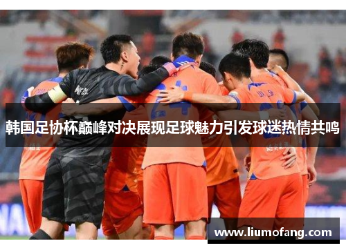 韩国足协杯巅峰对决展现足球魅力引发球迷热情共鸣