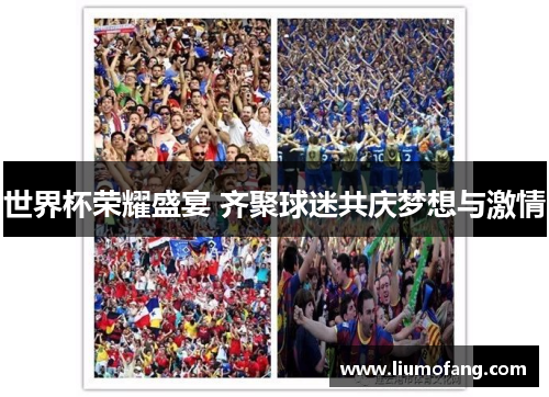 世界杯荣耀盛宴 齐聚球迷共庆梦想与激情