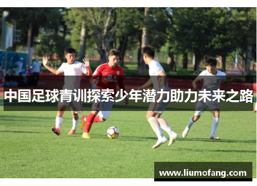 中国足球青训探索少年潜力助力未来之路